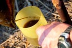 Survival Training